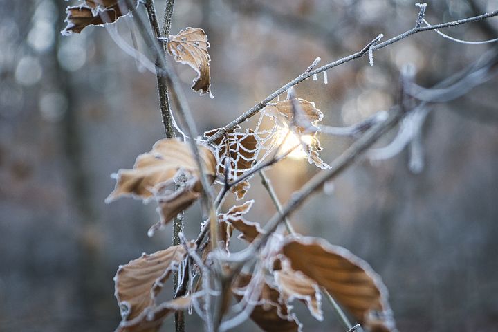 梦见和古代名人做朋友在一起是什么意思