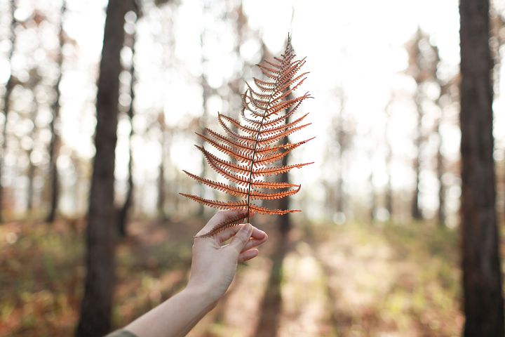 梦见我看见别人偷别人家的车是什么意思