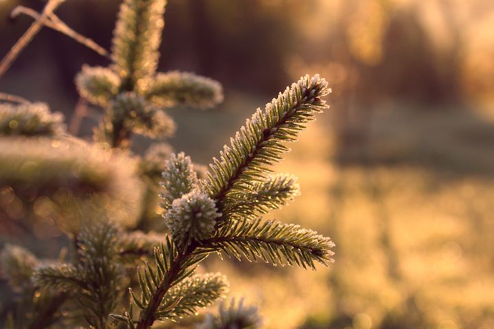 梦见放别人烟花掉到自己身上是什么意思