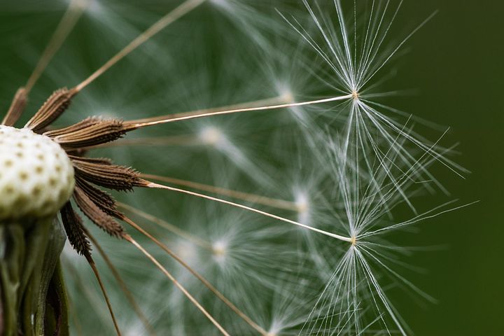 梦见自己的头发被别人烧焦一节是什么意思