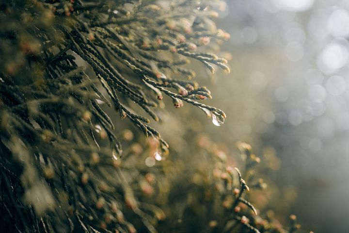 梦见房子上的雨布快掉下来了是什么意思