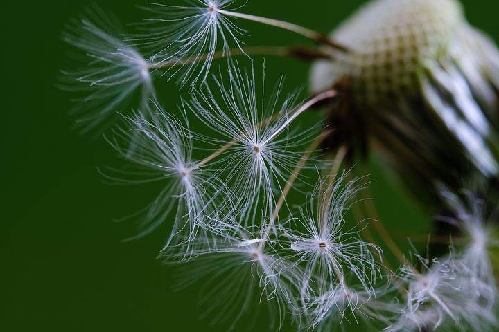 梦见以前的同学在一起上课是什么意思