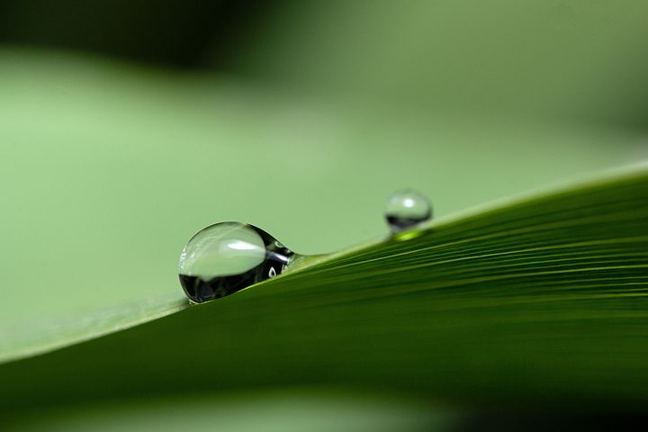 梦见别人用尖刀剌到手指并出了血是什么意思