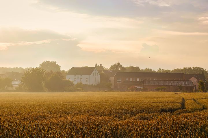 梦见很多人找来家里找房子住是什么意思