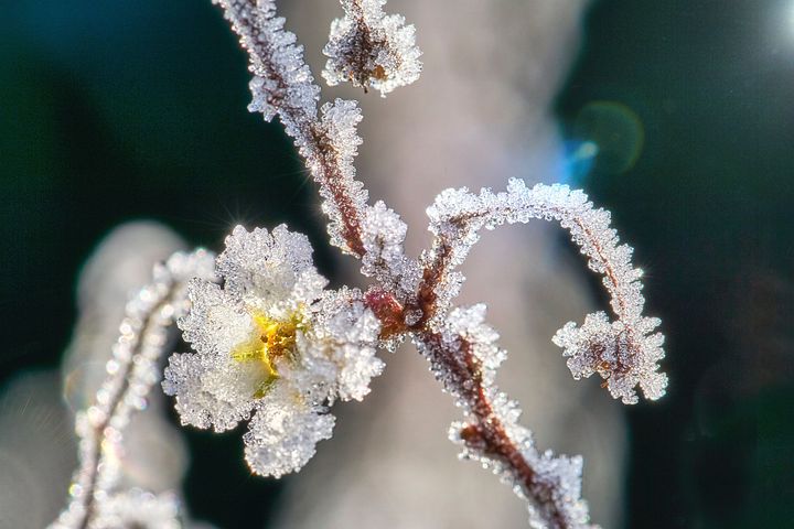 梦见很厚的雪而且拿铁锹铲雪是什么意思