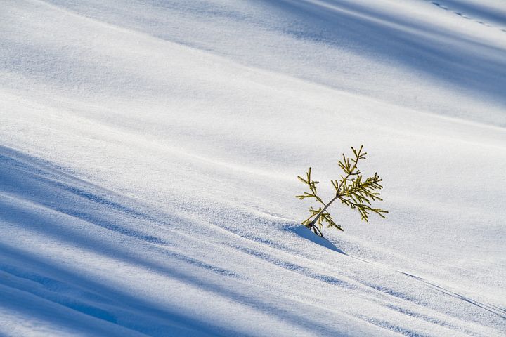 梦见站在房顶上房屋倒塌了人没事是什么意思