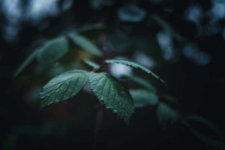 梦见打雷下雨有水流到我身上是什么意思