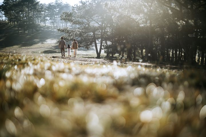 梦见偷抓狗是什么意思