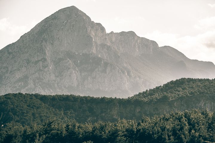 梦见蜜蜂追是什么意思