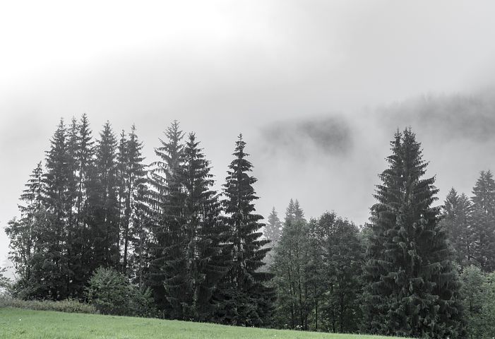 梦见打暴雷是什么意思