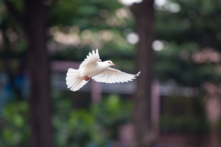 梦见自己吃了很多瓜菜是什么意思