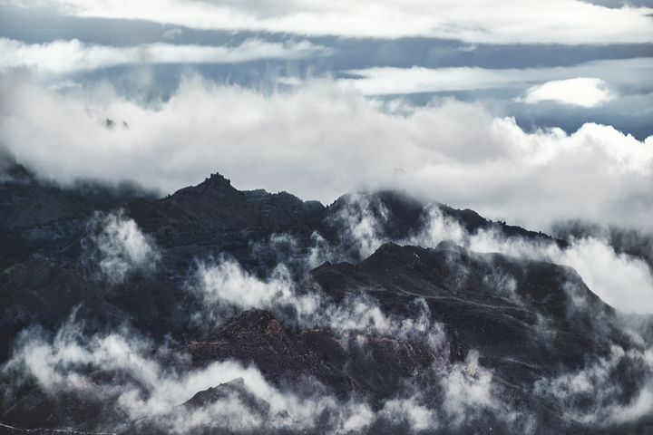 梦见偷的尿是什么意思