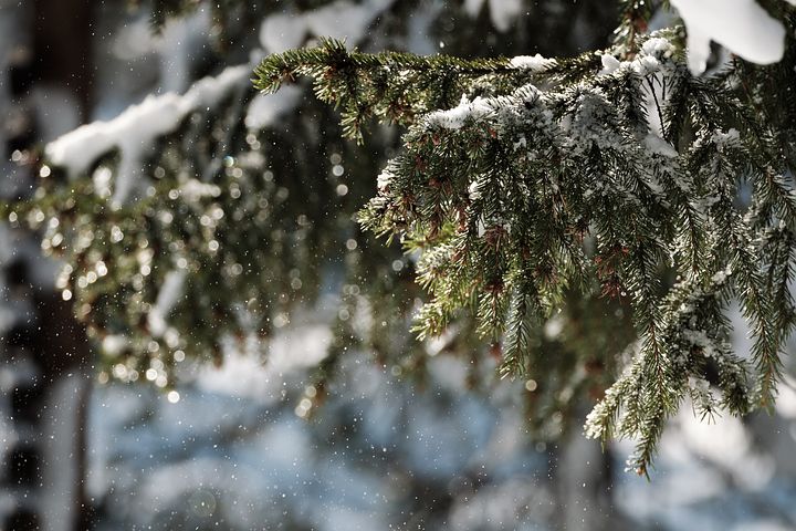 梦见锅里有半锅水又倒了一些是什么意思