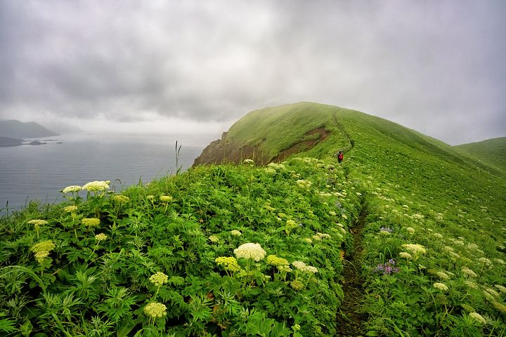 梦见坟地里有红灯光突然变黑是什么意思