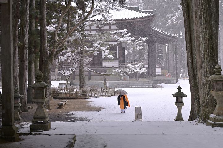 梦见从面袋子里掉一身的虫子是什么意思