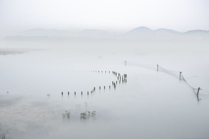 梦见两个鸡腿分了一个给别人吃是什么意思