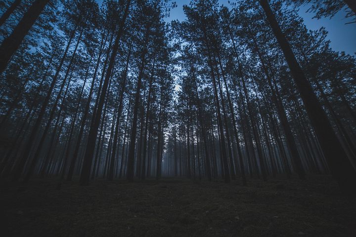 梦见别人把自己的羽绒服卖了是什么意思