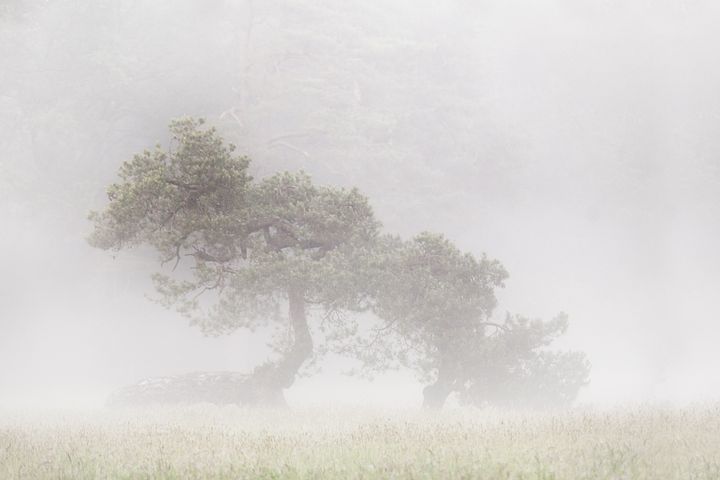 梦见前男友朋友来找我是什么意思