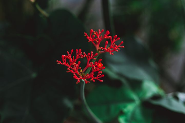 梦见修房裂缝堆土太多把房顶压塌是什么意思