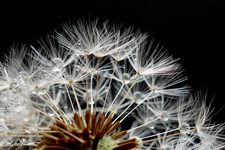 梦见妈妈的被子上有雪花还结冰是什么意思