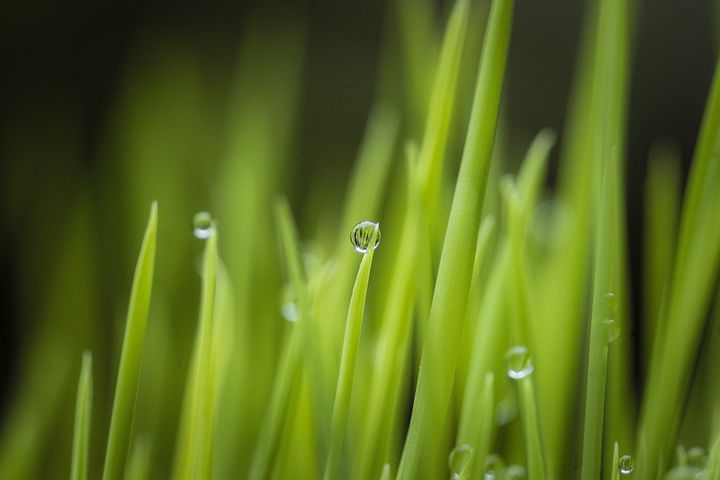 梦见很清的水从远处汹涌而来是什么意思