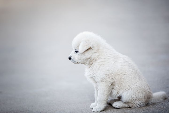 梦见闺蜜又结了一次婚是什么意思