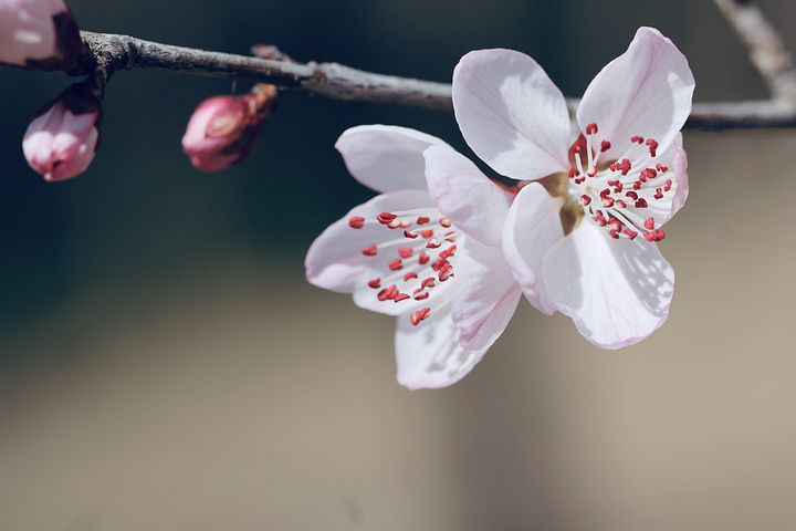 梦见男朋友想见我父母然后提亲是什么意思