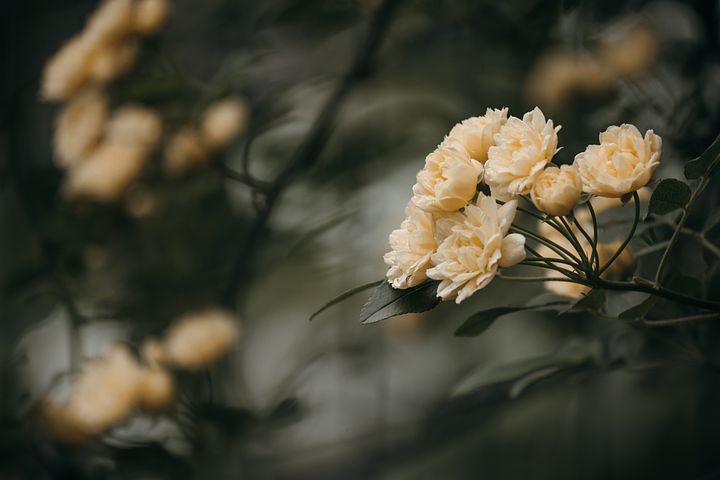 梦见太阳透过云层照的睁不开眼睛是什么意思