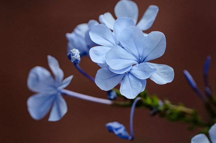 梦见自己骑车摔倒右胳膊上有血是什么意思