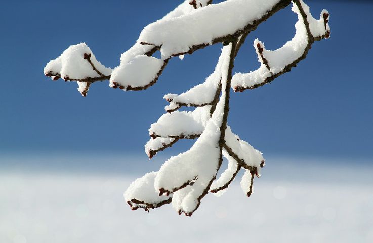 梦见海水涨潮淹没了我半个身是什么意思