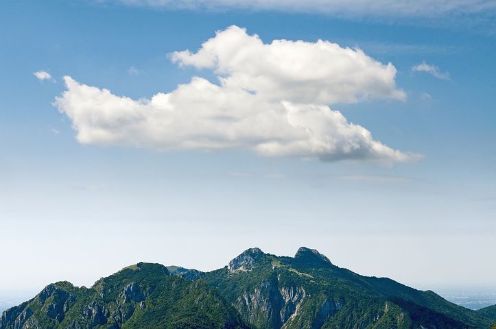 梦见在别人家里拿了好多花生是什么意思