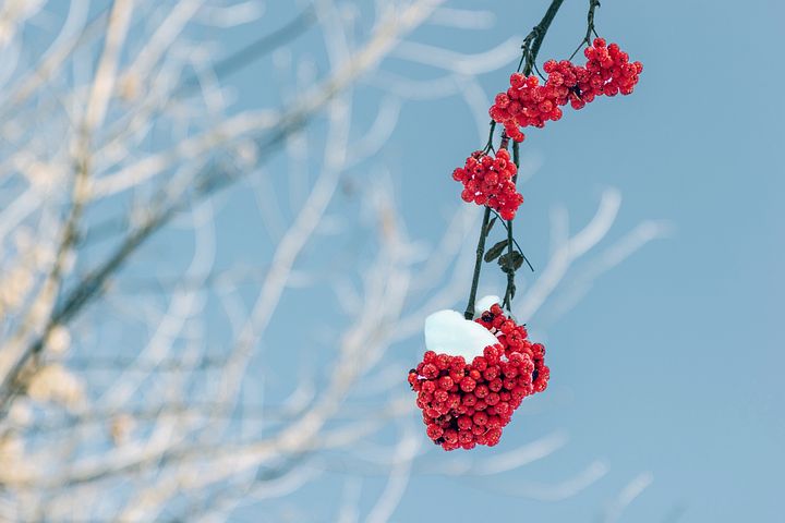 梦见烟细是什么意思