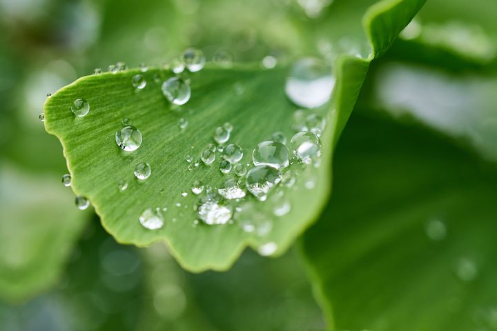 梦见挖水池水池里无水是什么意思