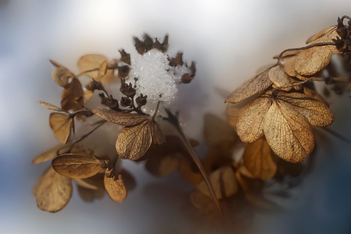 梦见自己生病家里拿不出钱给我看病是什么意思