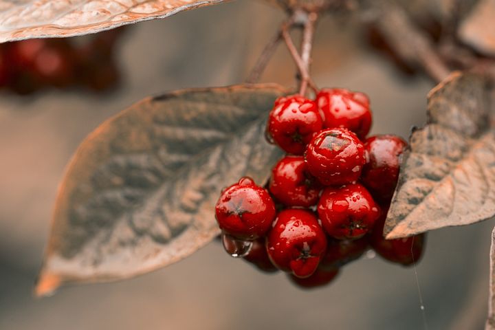 梦见入秋是什么意思