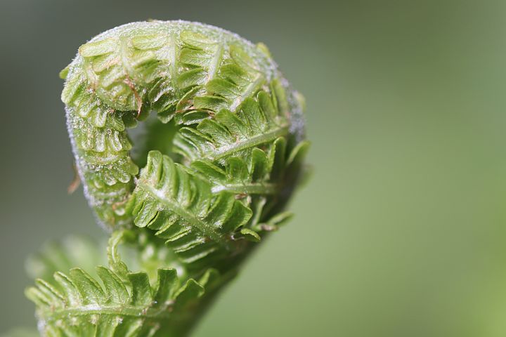 梦见自己迟到了并且找不到学校是什么意思