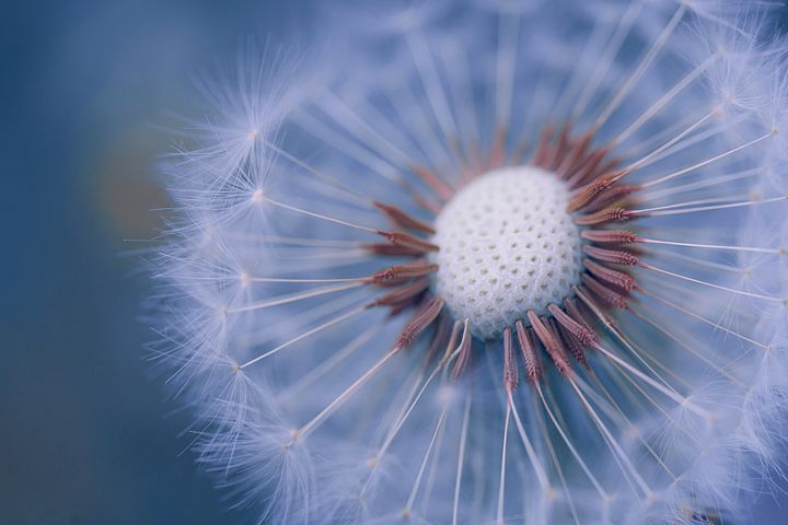 梦见和异性陌生人同吃一碗面是什么意思