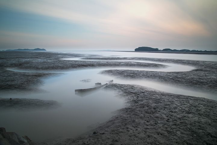 梦见狗给我右手食指咬流血了是什么意思