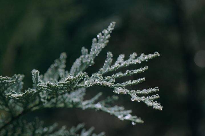 梦见自己胳膊受伤缝合感觉很疼是什么意思