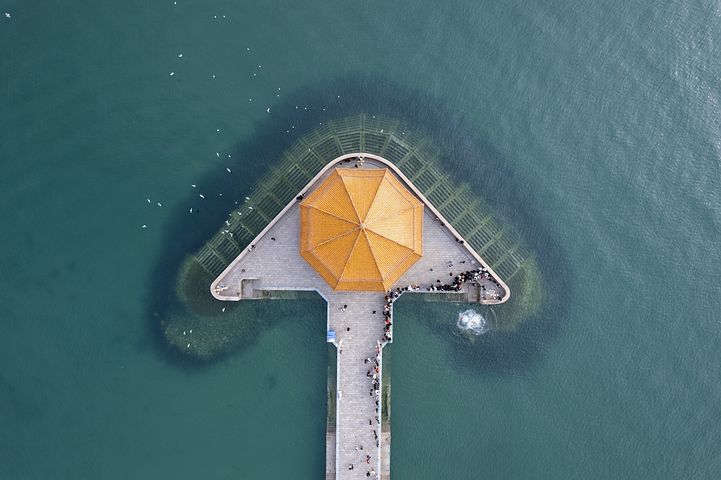 梦见发大水有人在水里抓大蛇是什么意思