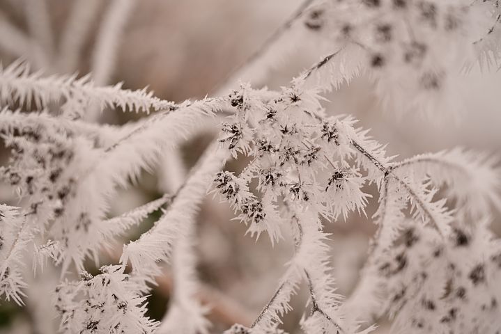 梦见朋友把银行卡身份证都给我是什么意思