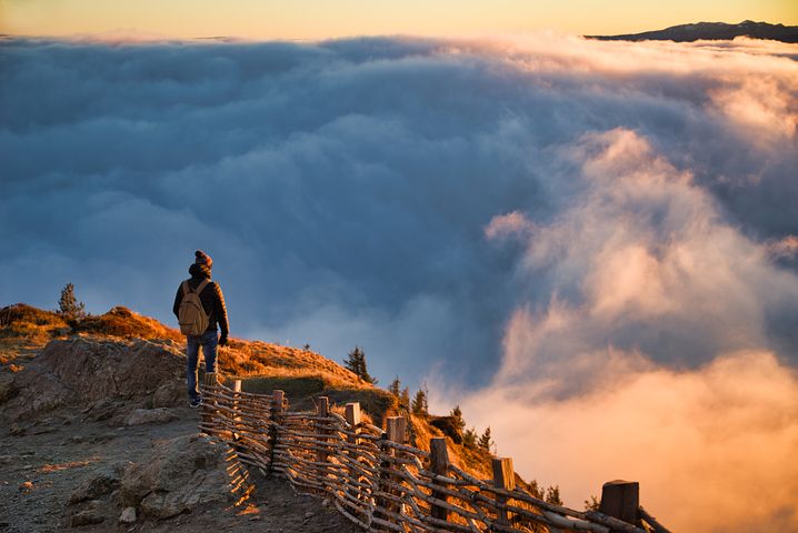 梦见括大风把大树头吹倒滚下山是什么意思